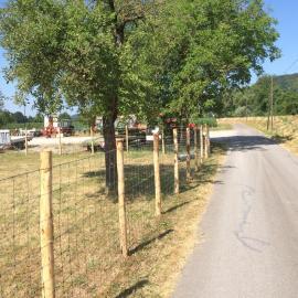 Full-Reuenthal112